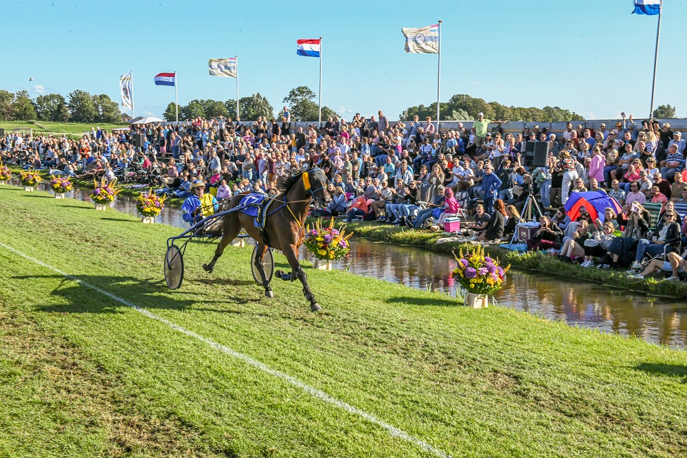 Laatste nieuws uit Leidschendam-Voorburg - Stompwijkse Paardendagen 2024 - 19 juli tot en met 22 jul