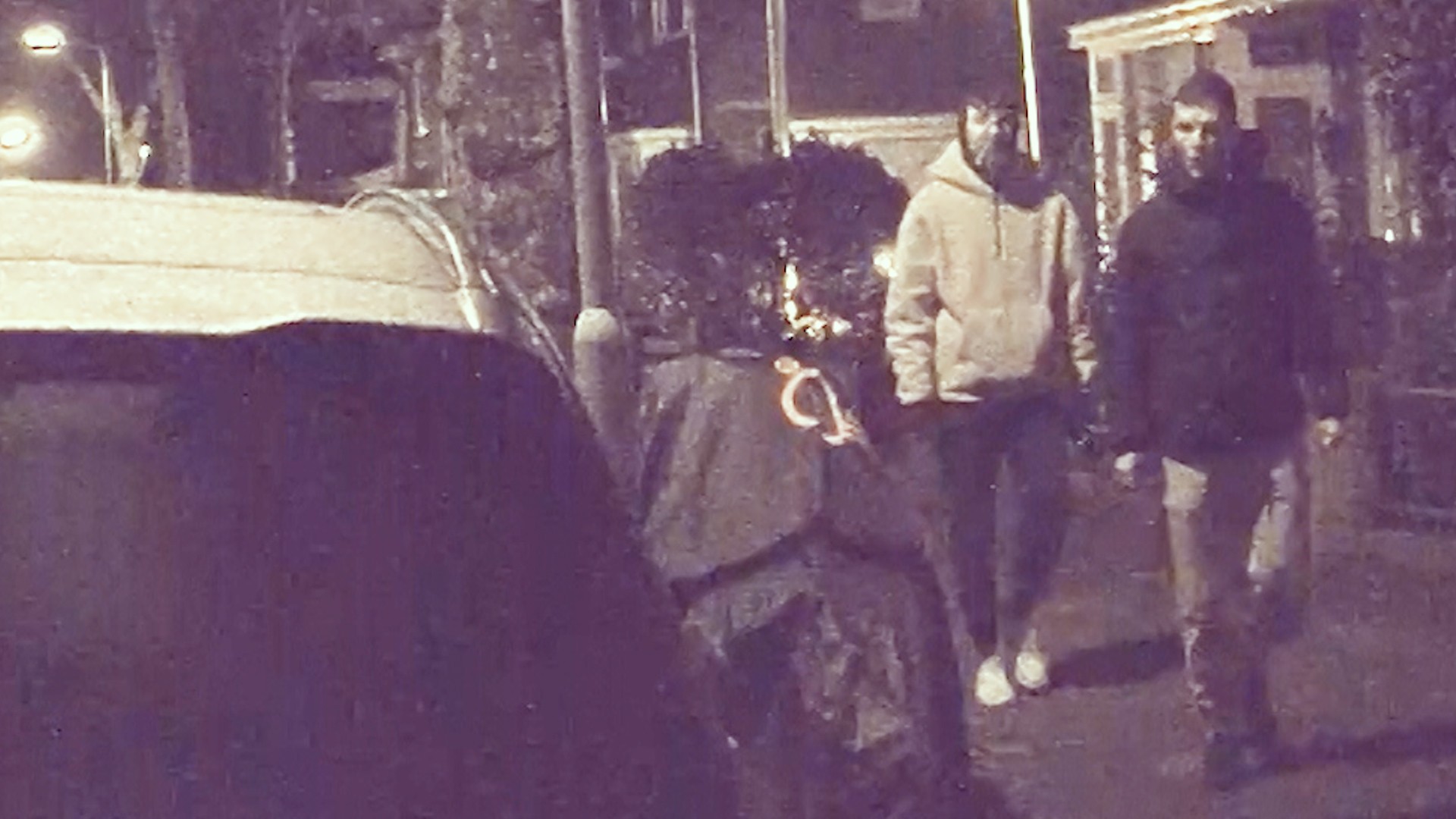 diefstallen voorburg politiefoto