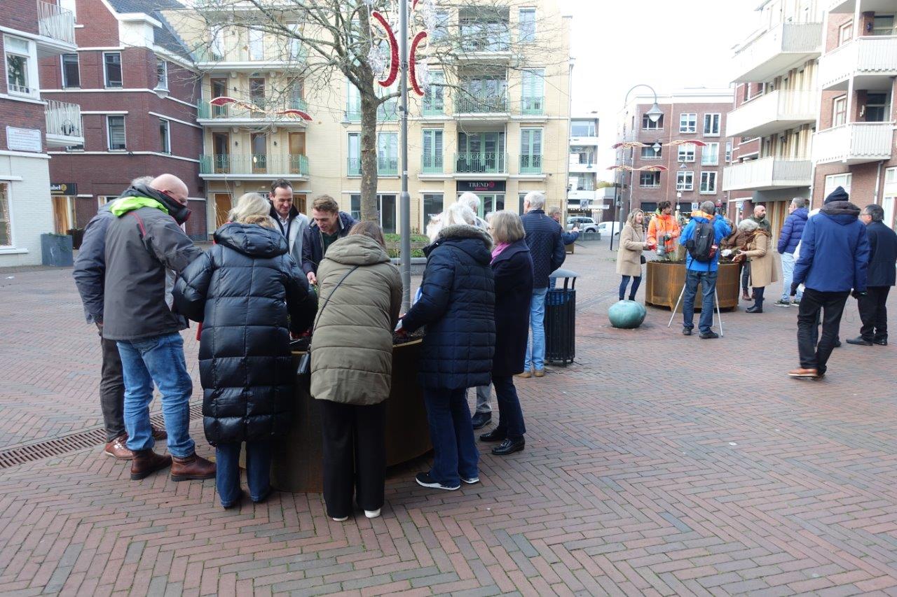 Damplein vergroening 3