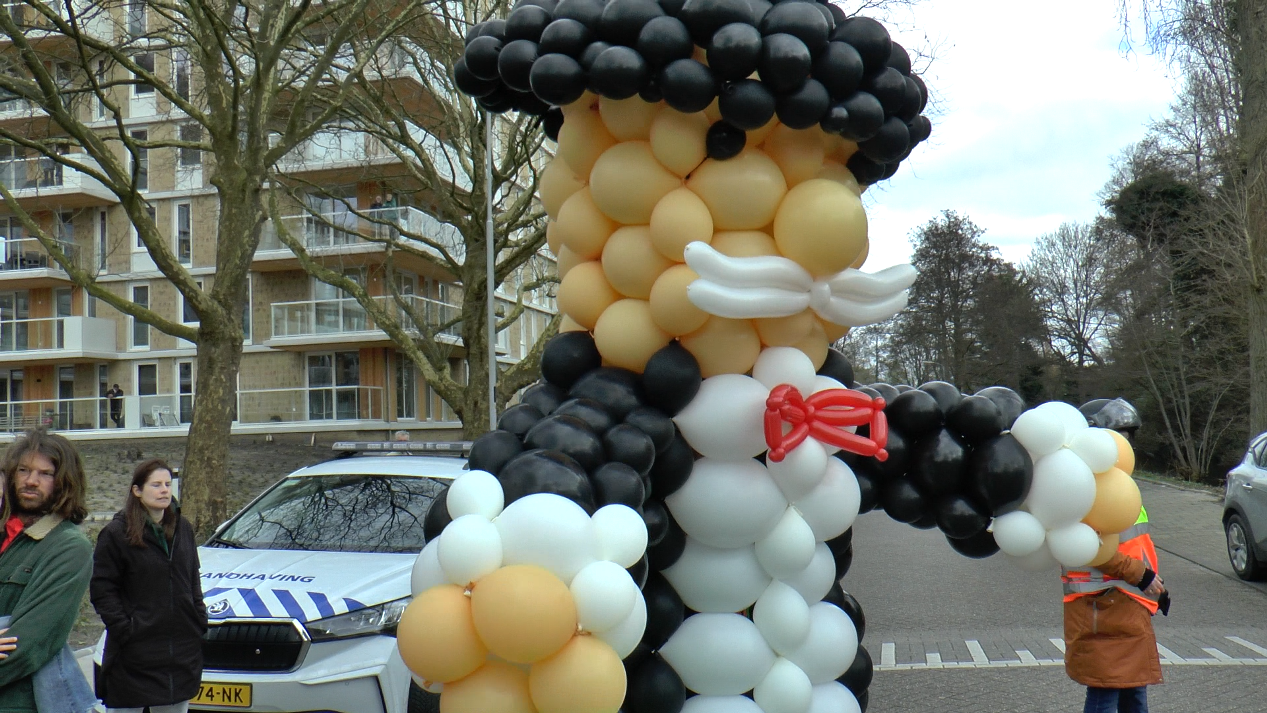 MB Carnaval 12