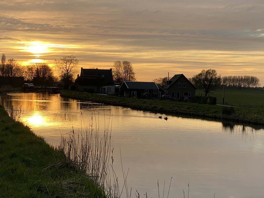 lente 1