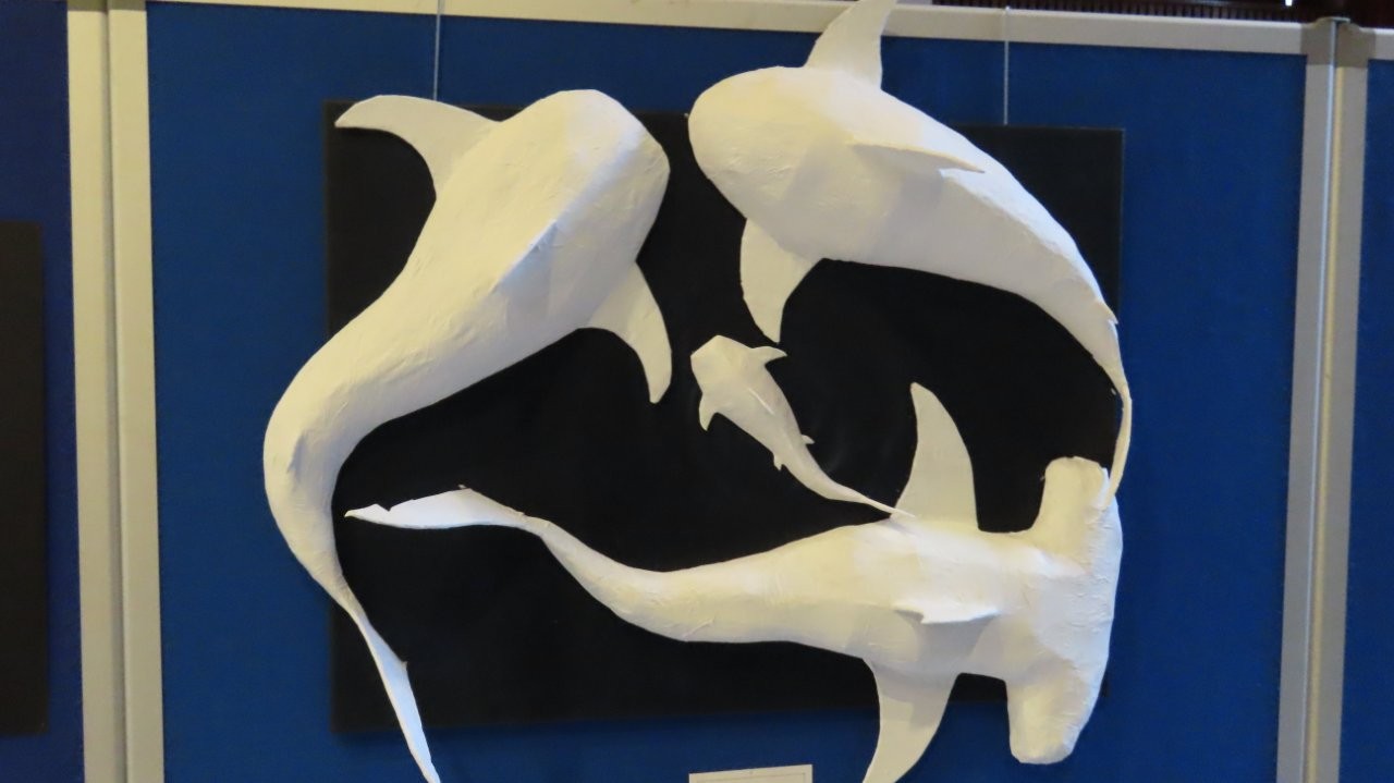 Expo Maartenscollege 4