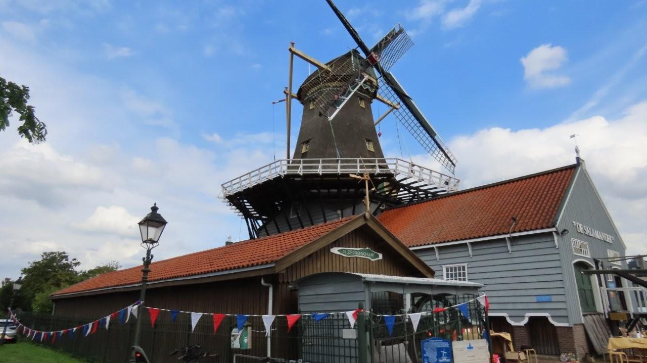 Salamander molen