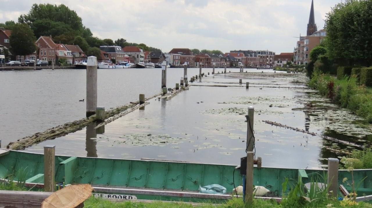 Salamander nog meer view