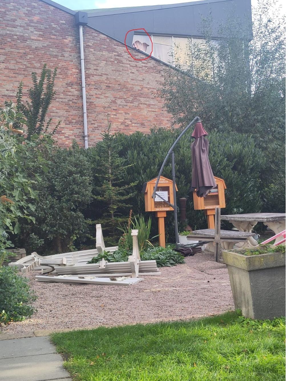 Koningskerk tuin