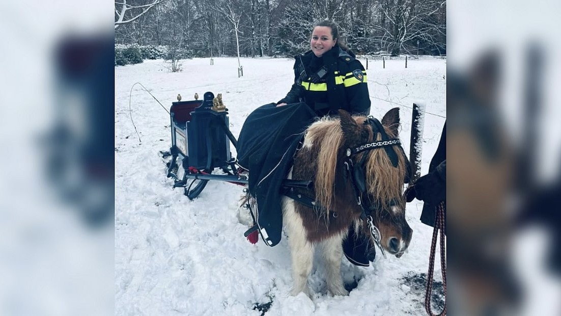 Laatste nieuws uit Leidschendam-Voorburg - Bijzonder winters ongeval in Wassenaar