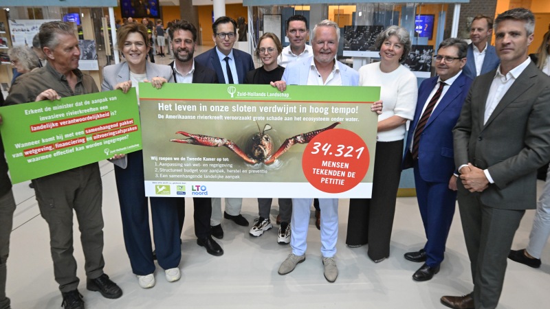 petitie Zuid Hollands Landschap 16 bij 9 NOG KLEINER PHkr10