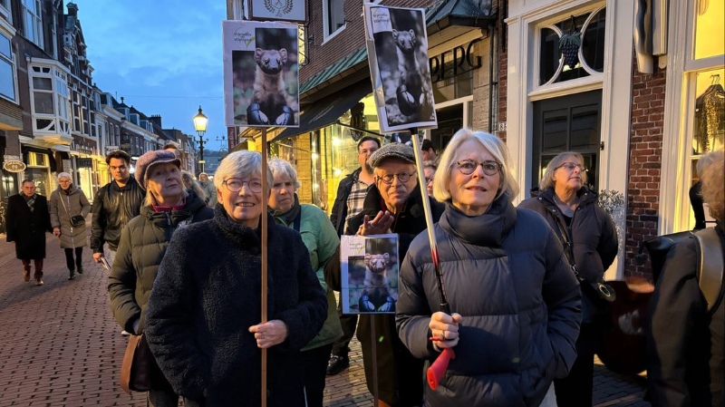 protest tegen bouw in Vlietland 2 Omroep west NOG KLEINER