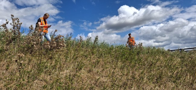 Hoogheemraadsschap Delft dijk inspectie mail