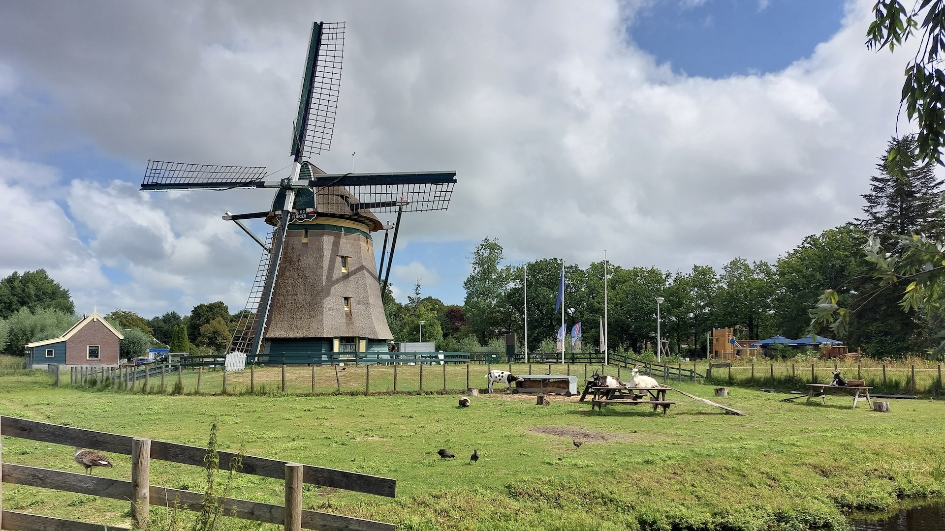 Molen De Vlieger aug. 2026 foto Wim van Horssen